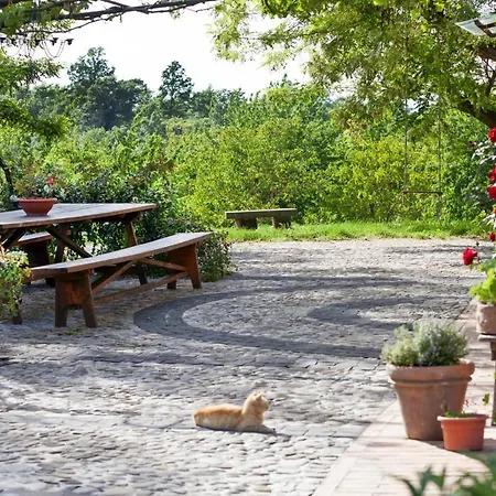 Locazione Turistica Poggio Del Miglio Casa vacanze
